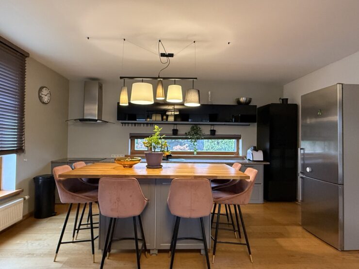 For rent spacious and carefully renovated private house